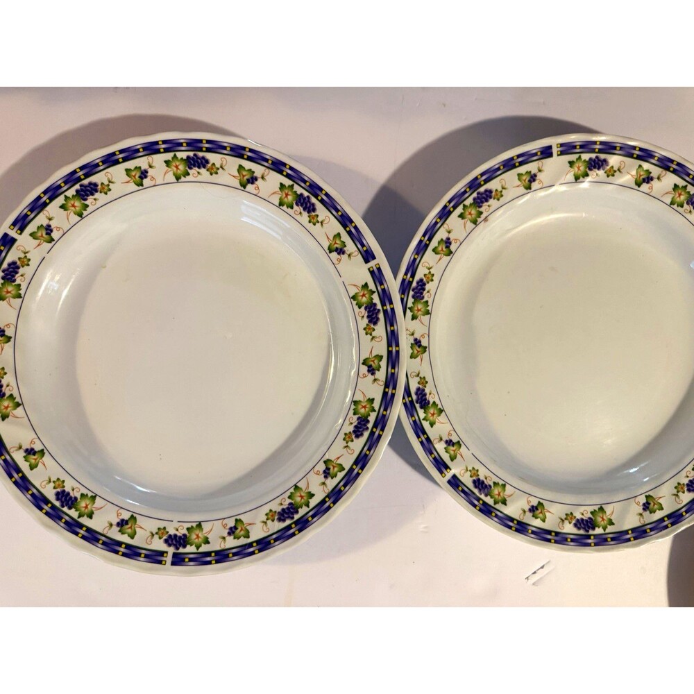 VTG Hanjade Melamine Grape Ivy Plates Set of 2 Tuscan Summer Cottagecore Boho